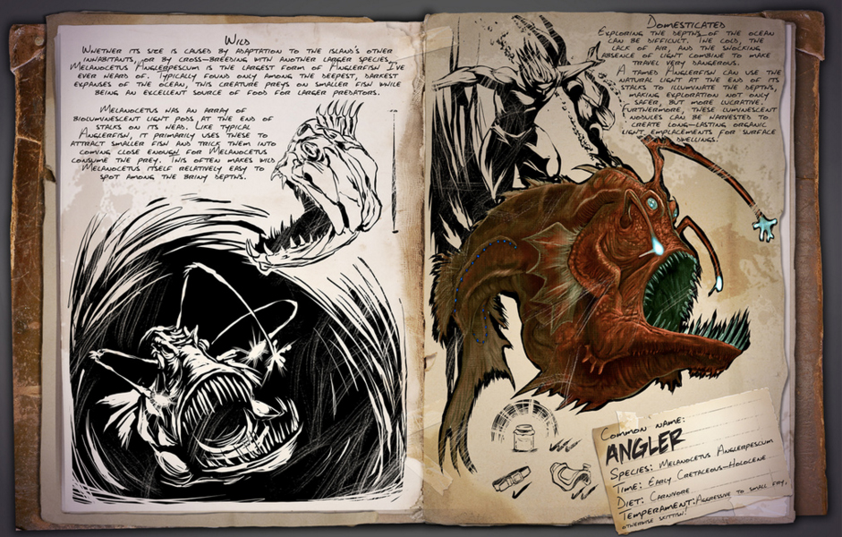 Dossier: Angler Melanocetus Anglerpescum